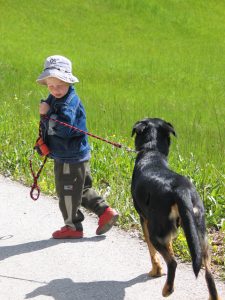 little-boy-and-dog-1509697-1599x2132
