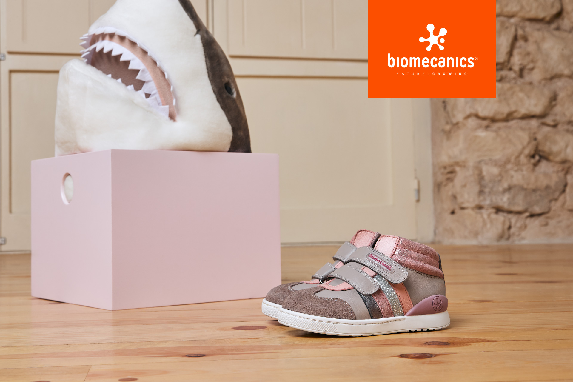 zapatos biomecanics